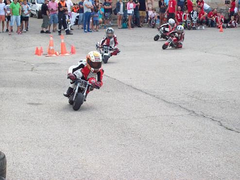 101_2103_494x371 101_2103_494x371