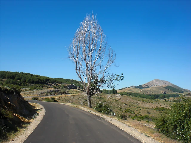 Cuenca-Finestrat 12 (159)