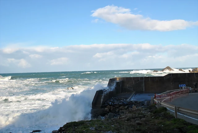 DSC_0575 DSC_0575