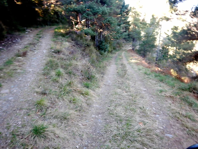 DSCN3877 DSCN3877