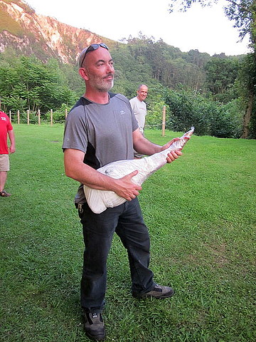 alberto alberto