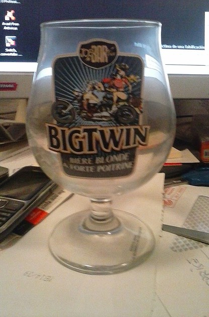 BogTwin BogTwin