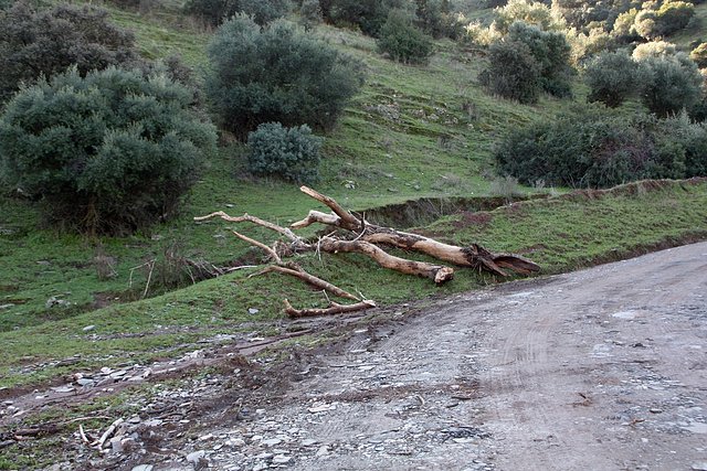 seales de inundacin 3