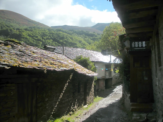 DSCN6398 DSCN6398
