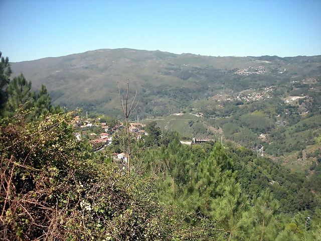 DSCN7803 DSCN7803