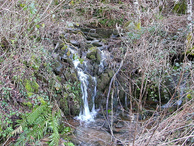 DSCN1188 DSCN1188