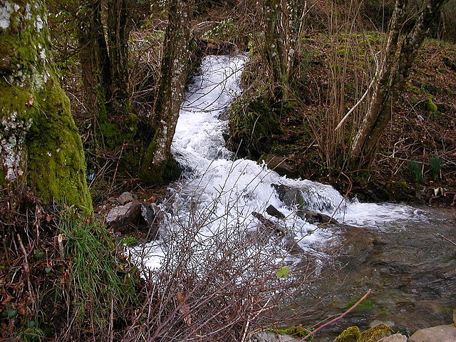 DSCN1186 DSCN1186