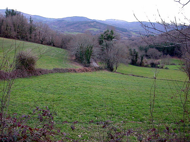 DSCN1203 DSCN1203