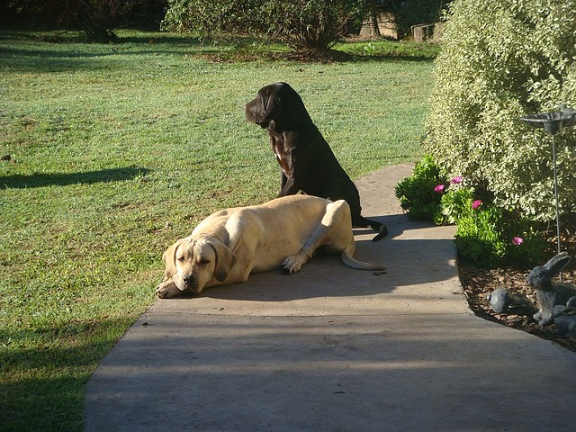 Tota y Lola Tota y Lola