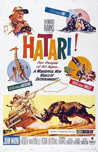 Hatari-1