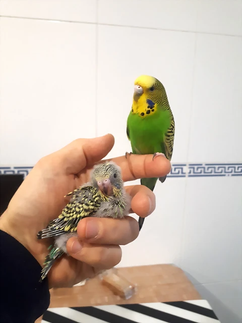 20190324_092945