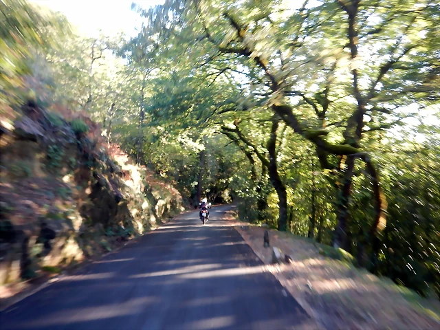 DSCN1649 DSCN1649