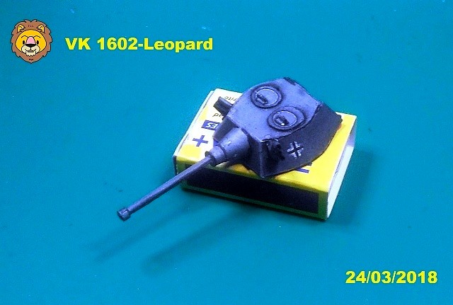 leopard-17
