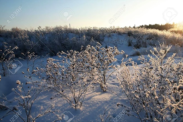 29703559-paisaje-invernal-del-r?o-est?-cubierta-de-hielo-y-nieve-los-?rboles-y-la-hierba-en-la-orilla-cubierta-de-e 29703559-paisaje-invernal-del-r?o-est?-cubierta-de-hielo-y-nieve-los-?rboles-y-la-hierba-en-la-orilla-cubierta-de-e