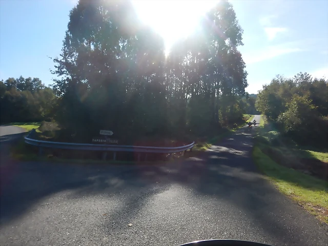 DSCN4576 DSCN4576