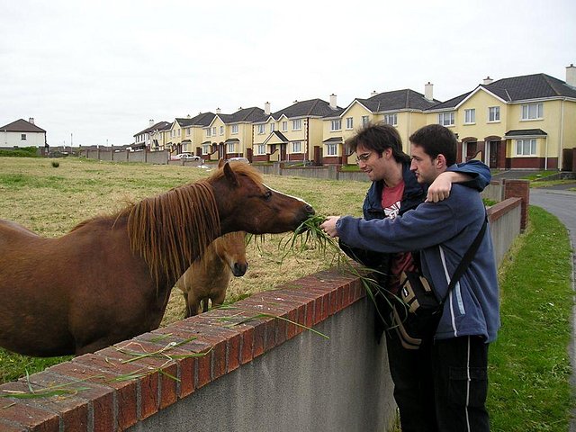 caballo