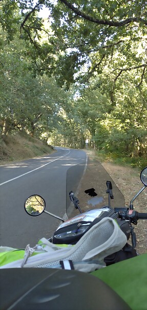IMG_20220807_102518 IMG_20220807_102518