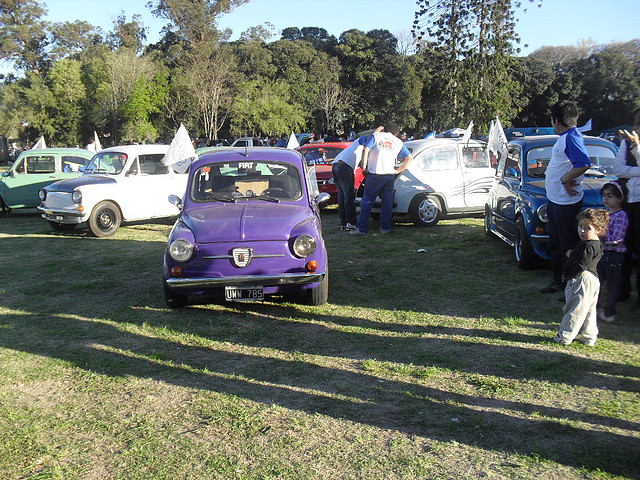SDC13805 SDC13805
