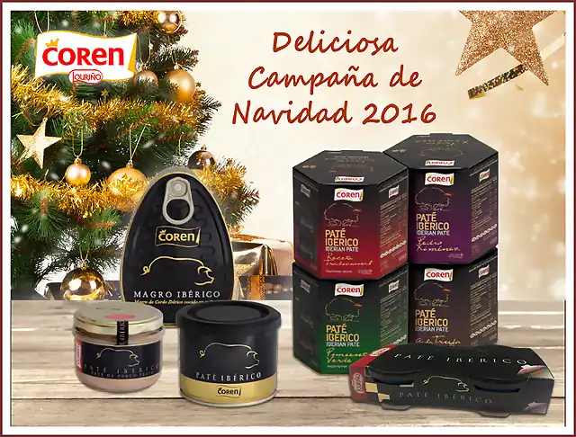 campaa navidad 2016-email