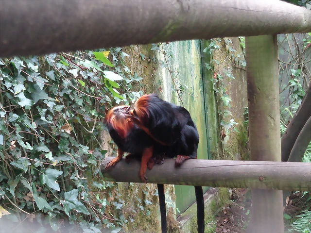 DSC01540 DSC01540