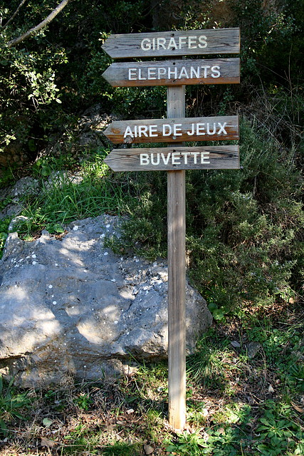 La Barben febrer 2011 215 La Barben febrer 2011 215