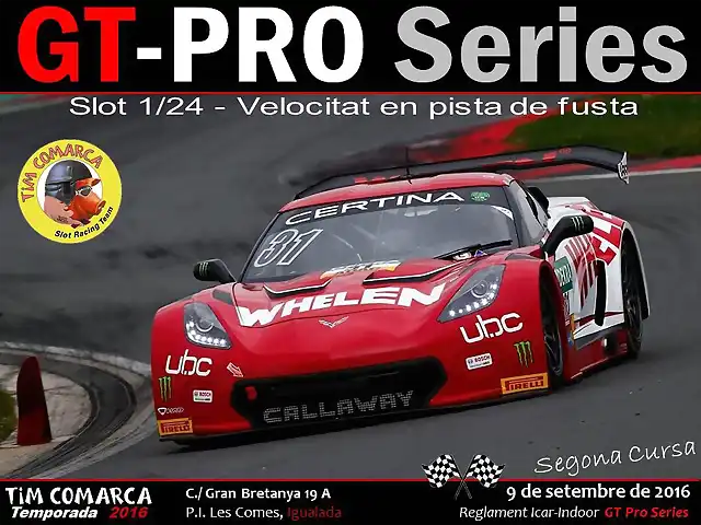 Cartell GT Pro - Cursa 2