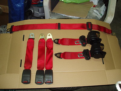 cinturones rojos