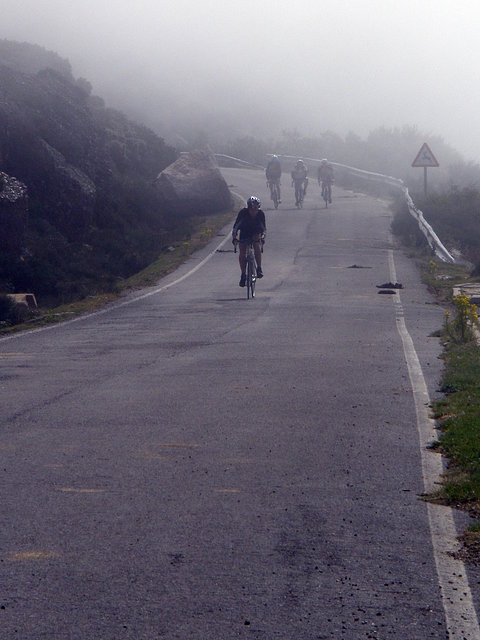 Palencia_Niebla