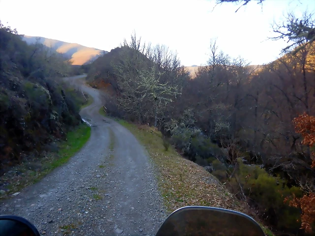 DSCN4098 DSCN4098