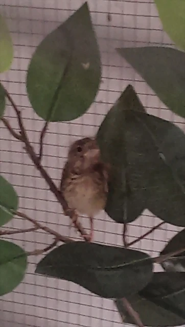 IMAG0700