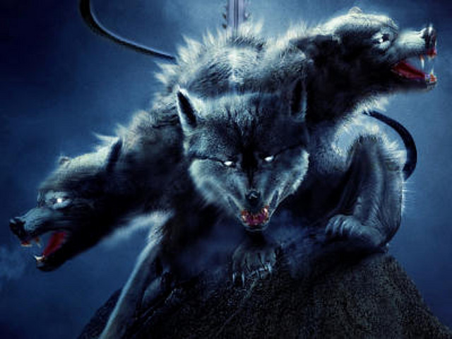 cerberus cerberus