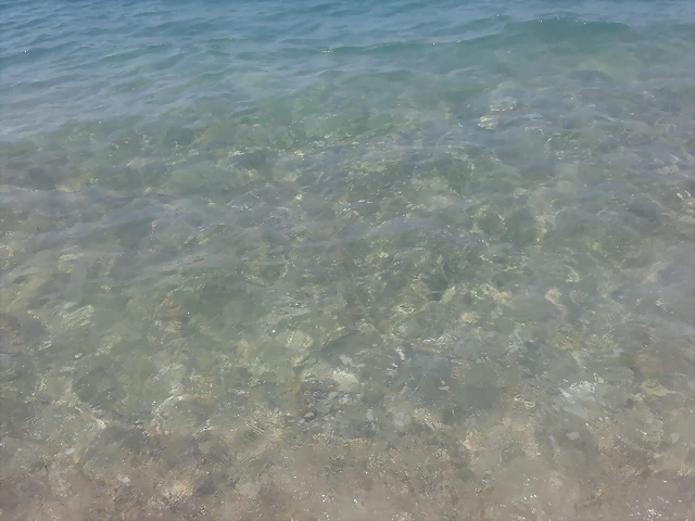 20160728_121108 20160728_121108