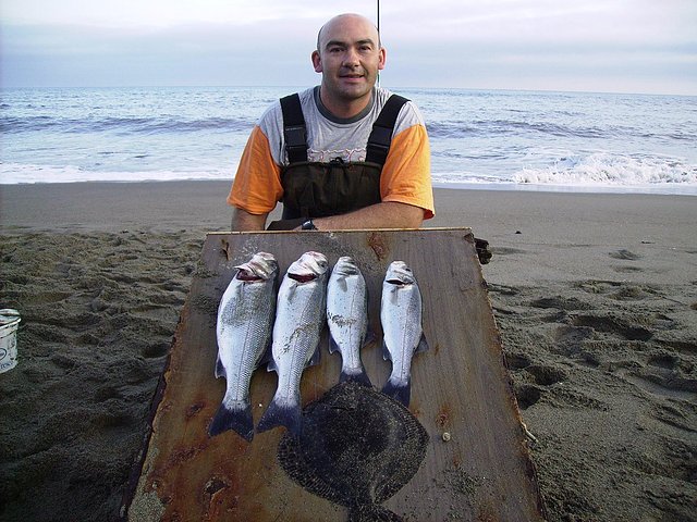 lubinas y rodaballo en ballas