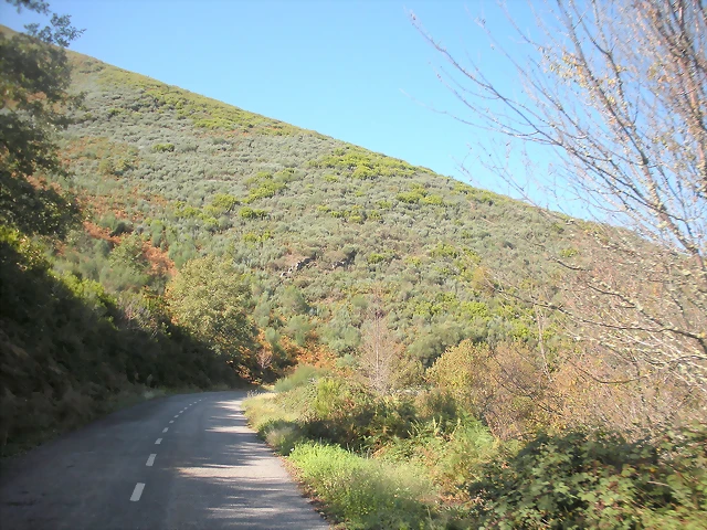 DSCN0123 DSCN0123