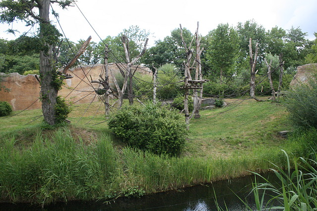 Zoo Leipzig 20-06-11 391 Zoo Leipzig 20-06-11 391