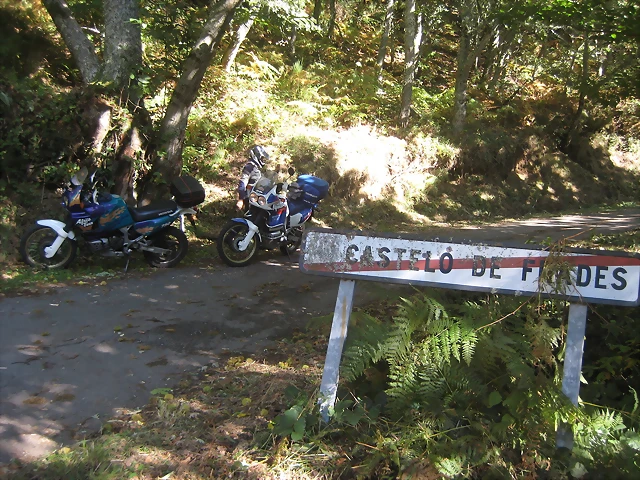 IMG_0805 IMG_0805