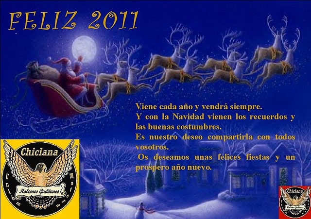 feliz2011 feliz2011