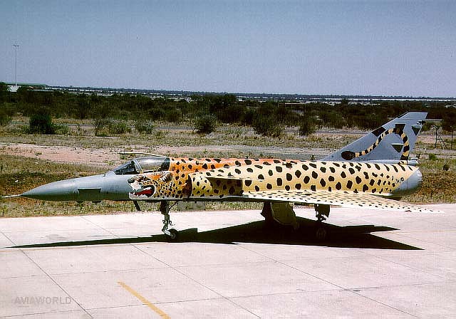 sa_cheetah-c_7