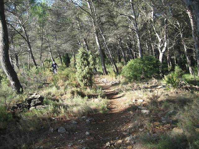 Imagen 005