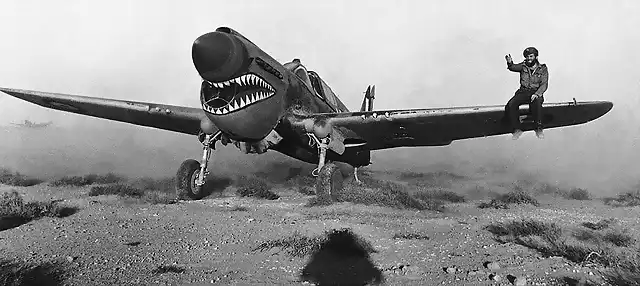 P-40 en el Norte de Africa