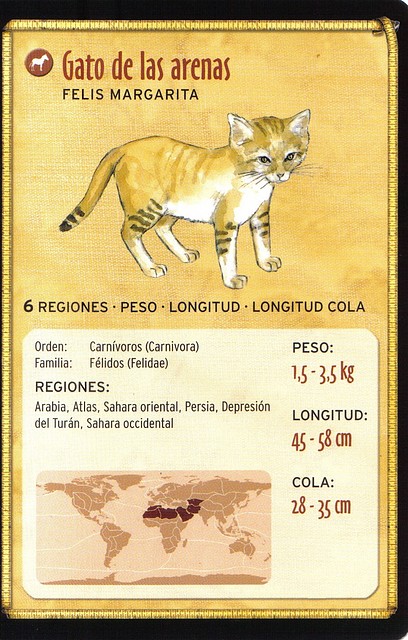 gato de las arenas