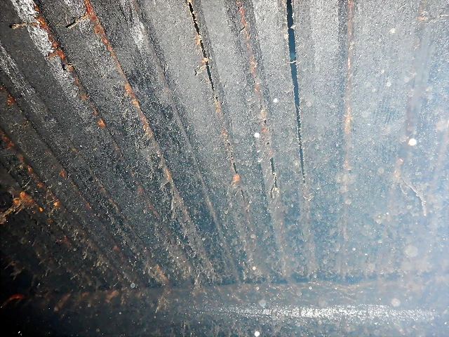 DSCN1125 DSCN1125