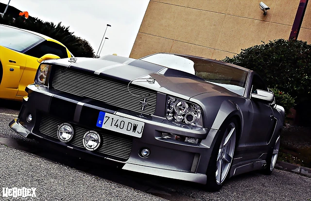 DSC_0796 DSC_0796