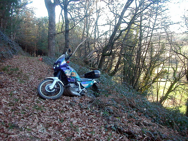 DSCN5764 DSCN5764