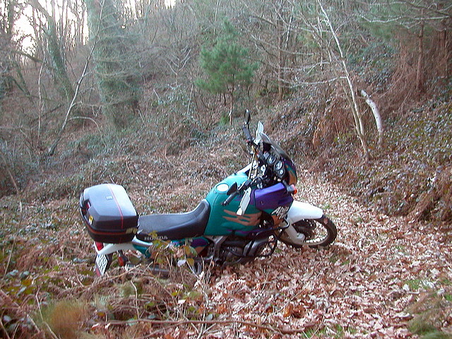 DSCN5763 DSCN5763
