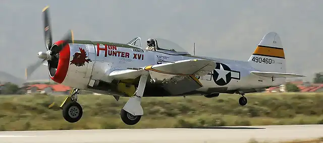 Hun Hunter P-47 Thunderbolt