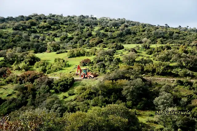 11, desde el cerro, marca