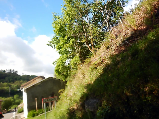 DSCN0483 DSCN0483