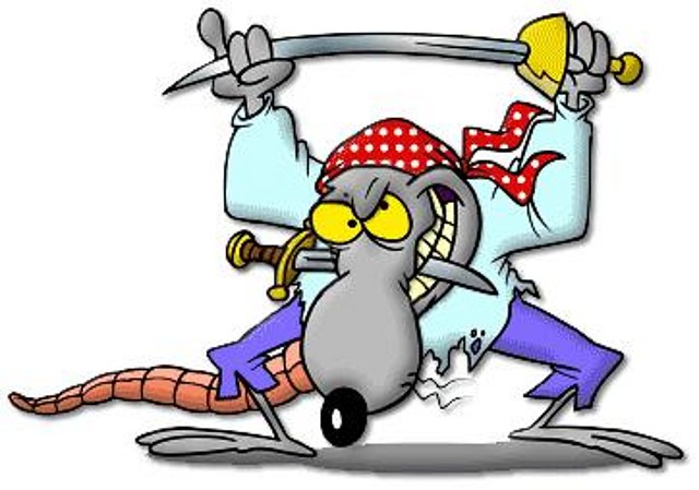 Pirate_rat_3D_transGIF Pirate_rat_3D_transGIF