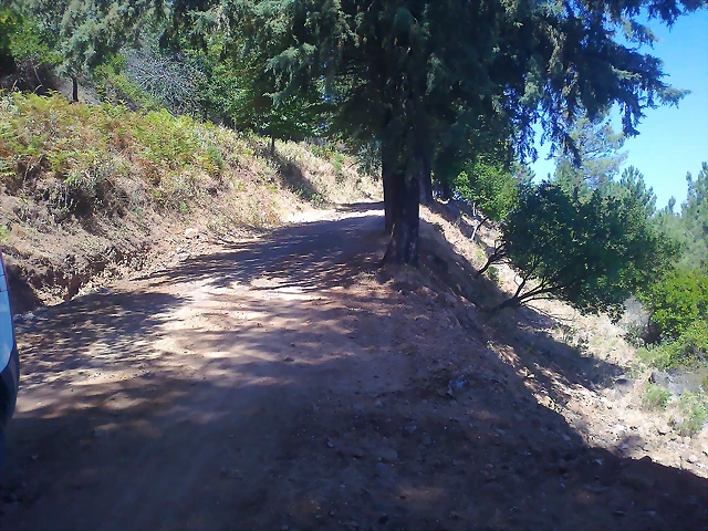 Foto0268 Foto0268